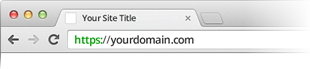 Domain validated SSL